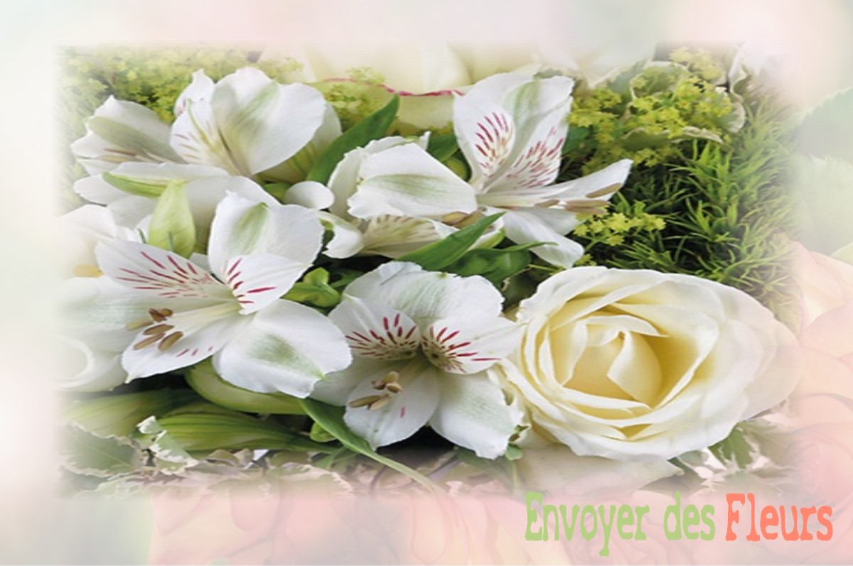 envoyer des fleurs à à SAINT-ETIENNE-DU-VAUVRAY